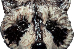 Racoon